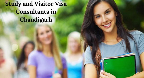 How you can Choose the right path for your dreams and How Best Study Visa Consultants in Chandigarh Works!