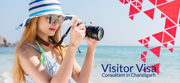 Visitor Visa Consultant